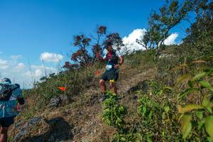 BIB: 
                            <button type="button" onclick="openModal(28097346)" class="btn btn-primary btn-sm float-right btn-popup" data-toggle="modal" data-target=".modal-high-quality">
                        <i class="fas fa-shopping-cart"></i> Add to Cart
                    </button>
                                            <button type="button" onclick="isThisMe(28097346, true)" class="btn btn-success btn-sm float-right btn-popup btn-isme hidden" data-toggle="tooltip" data-placement="bottom" title="นี่คือรูปของคุณใช่ไหม คลิกที่นี่เพื่อเอาเข้าอัลบั้ม">
                        <i class="fas fa-plus"></i> Add to album
                    </button>
                    <button type="button" onclick="isThisMe(28097346, false)" class="btn btn-warning btn-sm float-right btn-popup btn-isnotme hidden">
                        <i class="fas fa-ban"></i> Remove from album
                    </button>