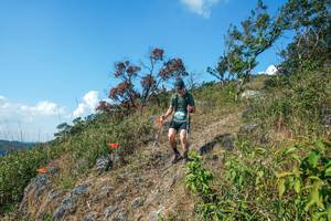 BIB: 
                            <button type="button" onclick="openModal(28096866)" class="btn btn-primary btn-sm float-right btn-popup" data-toggle="modal" data-target=".modal-high-quality">
                        <i class="fas fa-shopping-cart"></i> Add to Cart
                    </button>
                                            <button type="button" onclick="isThisMe(28096866, true)" class="btn btn-success btn-sm float-right btn-popup btn-isme hidden" data-toggle="tooltip" data-placement="bottom" title="นี่คือรูปของคุณใช่ไหม คลิกที่นี่เพื่อเอาเข้าอัลบั้ม">
                        <i class="fas fa-plus"></i> Add to album
                    </button>
                    <button type="button" onclick="isThisMe(28096866, false)" class="btn btn-warning btn-sm float-right btn-popup btn-isnotme hidden">
                        <i class="fas fa-ban"></i> Remove from album
                    </button>