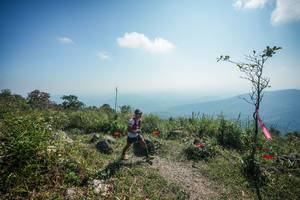 BIB: 
                            <button type="button" onclick="openModal(28095704)" class="btn btn-primary btn-sm float-right btn-popup" data-toggle="modal" data-target=".modal-high-quality">
                        <i class="fas fa-shopping-cart"></i> Add to Cart
                    </button>
                                            <button type="button" onclick="isThisMe(28095704, true)" class="btn btn-success btn-sm float-right btn-popup btn-isme hidden" data-toggle="tooltip" data-placement="bottom" title="นี่คือรูปของคุณใช่ไหม คลิกที่นี่เพื่อเอาเข้าอัลบั้ม">
                        <i class="fas fa-plus"></i> Add to album
                    </button>
                    <button type="button" onclick="isThisMe(28095704, false)" class="btn btn-warning btn-sm float-right btn-popup btn-isnotme hidden">
                        <i class="fas fa-ban"></i> Remove from album
                    </button>