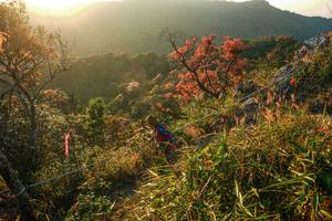 BIB: 
                            <button type="button" onclick="openModal(28099704)" class="btn btn-primary btn-sm float-right btn-popup" data-toggle="modal" data-target=".modal-high-quality">
                        <i class="fas fa-shopping-cart"></i> Add to Cart
                    </button>
                                            <button type="button" onclick="isThisMe(28099704, true)" class="btn btn-success btn-sm float-right btn-popup btn-isme hidden" data-toggle="tooltip" data-placement="bottom" title="นี่คือรูปของคุณใช่ไหม คลิกที่นี่เพื่อเอาเข้าอัลบั้ม">
                        <i class="fas fa-plus"></i> Add to album
                    </button>
                    <button type="button" onclick="isThisMe(28099704, false)" class="btn btn-warning btn-sm float-right btn-popup btn-isnotme hidden">
                        <i class="fas fa-ban"></i> Remove from album
                    </button>