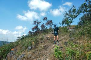 BIB: 
                            <button type="button" onclick="openModal(28096518)" class="btn btn-primary btn-sm float-right btn-popup" data-toggle="modal" data-target=".modal-high-quality">
                        <i class="fas fa-shopping-cart"></i> Add to Cart
                    </button>
                                            <button type="button" onclick="isThisMe(28096518, true)" class="btn btn-success btn-sm float-right btn-popup btn-isme hidden" data-toggle="tooltip" data-placement="bottom" title="นี่คือรูปของคุณใช่ไหม คลิกที่นี่เพื่อเอาเข้าอัลบั้ม">
                        <i class="fas fa-plus"></i> Add to album
                    </button>
                    <button type="button" onclick="isThisMe(28096518, false)" class="btn btn-warning btn-sm float-right btn-popup btn-isnotme hidden">
                        <i class="fas fa-ban"></i> Remove from album
                    </button>