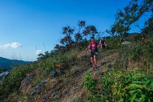 BIB: 
                            <button type="button" onclick="openModal(28098289)" class="btn btn-primary btn-sm float-right btn-popup" data-toggle="modal" data-target=".modal-high-quality">
                        <i class="fas fa-shopping-cart"></i> Add to Cart
                    </button>
                                            <button type="button" onclick="isThisMe(28098289, true)" class="btn btn-success btn-sm float-right btn-popup btn-isme hidden" data-toggle="tooltip" data-placement="bottom" title="นี่คือรูปของคุณใช่ไหม คลิกที่นี่เพื่อเอาเข้าอัลบั้ม">
                        <i class="fas fa-plus"></i> Add to album
                    </button>
                    <button type="button" onclick="isThisMe(28098289, false)" class="btn btn-warning btn-sm float-right btn-popup btn-isnotme hidden">
                        <i class="fas fa-ban"></i> Remove from album
                    </button>