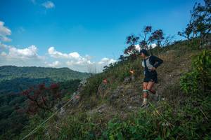 BIB: 
                            <button type="button" onclick="openModal(28095874)" class="btn btn-primary btn-sm float-right btn-popup" data-toggle="modal" data-target=".modal-high-quality">
                        <i class="fas fa-shopping-cart"></i> Add to Cart
                    </button>
                                            <button type="button" onclick="isThisMe(28095874, true)" class="btn btn-success btn-sm float-right btn-popup btn-isme hidden" data-toggle="tooltip" data-placement="bottom" title="นี่คือรูปของคุณใช่ไหม คลิกที่นี่เพื่อเอาเข้าอัลบั้ม">
                        <i class="fas fa-plus"></i> Add to album
                    </button>
                    <button type="button" onclick="isThisMe(28095874, false)" class="btn btn-warning btn-sm float-right btn-popup btn-isnotme hidden">
                        <i class="fas fa-ban"></i> Remove from album
                    </button>