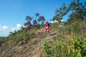 BIB: 
                            <button type="button" onclick="openModal(28096930)" class="btn btn-primary btn-sm float-right btn-popup" data-toggle="modal" data-target=".modal-high-quality">
                        <i class="fas fa-shopping-cart"></i> Add to Cart
                    </button>
                                            <button type="button" onclick="isThisMe(28096930, true)" class="btn btn-success btn-sm float-right btn-popup btn-isme hidden" data-toggle="tooltip" data-placement="bottom" title="นี่คือรูปของคุณใช่ไหม คลิกที่นี่เพื่อเอาเข้าอัลบั้ม">
                        <i class="fas fa-plus"></i> Add to album
                    </button>
                    <button type="button" onclick="isThisMe(28096930, false)" class="btn btn-warning btn-sm float-right btn-popup btn-isnotme hidden">
                        <i class="fas fa-ban"></i> Remove from album
                    </button>