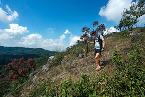 BIB: 
                            <button type="button" onclick="openModal(28096018)" class="btn btn-primary btn-sm float-right btn-popup" data-toggle="modal" data-target=".modal-high-quality">
                        <i class="fas fa-shopping-cart"></i> Add to Cart
                    </button>
                                            <button type="button" onclick="isThisMe(28096018, true)" class="btn btn-success btn-sm float-right btn-popup btn-isme hidden" data-toggle="tooltip" data-placement="bottom" title="นี่คือรูปของคุณใช่ไหม คลิกที่นี่เพื่อเอาเข้าอัลบั้ม">
                        <i class="fas fa-plus"></i> Add to album
                    </button>
                    <button type="button" onclick="isThisMe(28096018, false)" class="btn btn-warning btn-sm float-right btn-popup btn-isnotme hidden">
                        <i class="fas fa-ban"></i> Remove from album
                    </button>