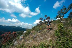 BIB: 
                            <button type="button" onclick="openModal(28095970)" class="btn btn-primary btn-sm float-right btn-popup" data-toggle="modal" data-target=".modal-high-quality">
                        <i class="fas fa-shopping-cart"></i> Add to Cart
                    </button>
                                            <button type="button" onclick="isThisMe(28095970, true)" class="btn btn-success btn-sm float-right btn-popup btn-isme hidden" data-toggle="tooltip" data-placement="bottom" title="นี่คือรูปของคุณใช่ไหม คลิกที่นี่เพื่อเอาเข้าอัลบั้ม">
                        <i class="fas fa-plus"></i> Add to album
                    </button>
                    <button type="button" onclick="isThisMe(28095970, false)" class="btn btn-warning btn-sm float-right btn-popup btn-isnotme hidden">
                        <i class="fas fa-ban"></i> Remove from album
                    </button>