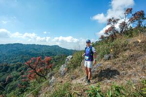 BIB: 
                            <button type="button" onclick="openModal(28096418)" class="btn btn-primary btn-sm float-right btn-popup" data-toggle="modal" data-target=".modal-high-quality">
                        <i class="fas fa-shopping-cart"></i> Add to Cart
                    </button>
                                            <button type="button" onclick="isThisMe(28096418, true)" class="btn btn-success btn-sm float-right btn-popup btn-isme hidden" data-toggle="tooltip" data-placement="bottom" title="นี่คือรูปของคุณใช่ไหม คลิกที่นี่เพื่อเอาเข้าอัลบั้ม">
                        <i class="fas fa-plus"></i> Add to album
                    </button>
                    <button type="button" onclick="isThisMe(28096418, false)" class="btn btn-warning btn-sm float-right btn-popup btn-isnotme hidden">
                        <i class="fas fa-ban"></i> Remove from album
                    </button>