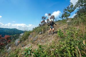 BIB: 
                            <button type="button" onclick="openModal(28096388)" class="btn btn-primary btn-sm float-right btn-popup" data-toggle="modal" data-target=".modal-high-quality">
                        <i class="fas fa-shopping-cart"></i> Add to Cart
                    </button>
                                            <button type="button" onclick="isThisMe(28096388, true)" class="btn btn-success btn-sm float-right btn-popup btn-isme hidden" data-toggle="tooltip" data-placement="bottom" title="นี่คือรูปของคุณใช่ไหม คลิกที่นี่เพื่อเอาเข้าอัลบั้ม">
                        <i class="fas fa-plus"></i> Add to album
                    </button>
                    <button type="button" onclick="isThisMe(28096388, false)" class="btn btn-warning btn-sm float-right btn-popup btn-isnotme hidden">
                        <i class="fas fa-ban"></i> Remove from album
                    </button>