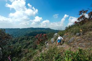 BIB: 
                            <button type="button" onclick="openModal(28096013)" class="btn btn-primary btn-sm float-right btn-popup" data-toggle="modal" data-target=".modal-high-quality">
                        <i class="fas fa-shopping-cart"></i> Add to Cart
                    </button>
                                            <button type="button" onclick="isThisMe(28096013, true)" class="btn btn-success btn-sm float-right btn-popup btn-isme hidden" data-toggle="tooltip" data-placement="bottom" title="นี่คือรูปของคุณใช่ไหม คลิกที่นี่เพื่อเอาเข้าอัลบั้ม">
                        <i class="fas fa-plus"></i> Add to album
                    </button>
                    <button type="button" onclick="isThisMe(28096013, false)" class="btn btn-warning btn-sm float-right btn-popup btn-isnotme hidden">
                        <i class="fas fa-ban"></i> Remove from album
                    </button>