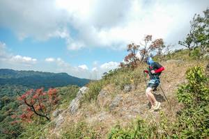 BIB: 
                            <button type="button" onclick="openModal(28095841)" class="btn btn-primary btn-sm float-right btn-popup" data-toggle="modal" data-target=".modal-high-quality">
                        <i class="fas fa-shopping-cart"></i> Add to Cart
                    </button>
                                            <button type="button" onclick="isThisMe(28095841, true)" class="btn btn-success btn-sm float-right btn-popup btn-isme hidden" data-toggle="tooltip" data-placement="bottom" title="นี่คือรูปของคุณใช่ไหม คลิกที่นี่เพื่อเอาเข้าอัลบั้ม">
                        <i class="fas fa-plus"></i> Add to album
                    </button>
                    <button type="button" onclick="isThisMe(28095841, false)" class="btn btn-warning btn-sm float-right btn-popup btn-isnotme hidden">
                        <i class="fas fa-ban"></i> Remove from album
                    </button>