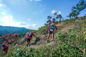 BIB: 
                            <button type="button" onclick="openModal(28098105)" class="btn btn-primary btn-sm float-right btn-popup" data-toggle="modal" data-target=".modal-high-quality">
                        <i class="fas fa-shopping-cart"></i> Add to Cart
                    </button>
                                            <button type="button" onclick="isThisMe(28098105, true)" class="btn btn-success btn-sm float-right btn-popup btn-isme hidden" data-toggle="tooltip" data-placement="bottom" title="นี่คือรูปของคุณใช่ไหม คลิกที่นี่เพื่อเอาเข้าอัลบั้ม">
                        <i class="fas fa-plus"></i> Add to album
                    </button>
                    <button type="button" onclick="isThisMe(28098105, false)" class="btn btn-warning btn-sm float-right btn-popup btn-isnotme hidden">
                        <i class="fas fa-ban"></i> Remove from album
                    </button>