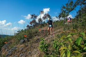 BIB: 
                            <button type="button" onclick="openModal(28097482)" class="btn btn-primary btn-sm float-right btn-popup" data-toggle="modal" data-target=".modal-high-quality">
                        <i class="fas fa-shopping-cart"></i> Add to Cart
                    </button>
                                            <button type="button" onclick="isThisMe(28097482, true)" class="btn btn-success btn-sm float-right btn-popup btn-isme hidden" data-toggle="tooltip" data-placement="bottom" title="นี่คือรูปของคุณใช่ไหม คลิกที่นี่เพื่อเอาเข้าอัลบั้ม">
                        <i class="fas fa-plus"></i> Add to album
                    </button>
                    <button type="button" onclick="isThisMe(28097482, false)" class="btn btn-warning btn-sm float-right btn-popup btn-isnotme hidden">
                        <i class="fas fa-ban"></i> Remove from album
                    </button>