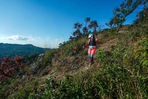 BIB: 
                            <button type="button" onclick="openModal(28098853)" class="btn btn-primary btn-sm float-right btn-popup" data-toggle="modal" data-target=".modal-high-quality">
                        <i class="fas fa-shopping-cart"></i> Add to Cart
                    </button>
                                            <button type="button" onclick="isThisMe(28098853, true)" class="btn btn-success btn-sm float-right btn-popup btn-isme hidden" data-toggle="tooltip" data-placement="bottom" title="นี่คือรูปของคุณใช่ไหม คลิกที่นี่เพื่อเอาเข้าอัลบั้ม">
                        <i class="fas fa-plus"></i> Add to album
                    </button>
                    <button type="button" onclick="isThisMe(28098853, false)" class="btn btn-warning btn-sm float-right btn-popup btn-isnotme hidden">
                        <i class="fas fa-ban"></i> Remove from album
                    </button>