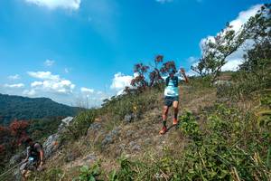 BIB: 
                            <button type="button" onclick="openModal(28096174)" class="btn btn-primary btn-sm float-right btn-popup" data-toggle="modal" data-target=".modal-high-quality">
                        <i class="fas fa-shopping-cart"></i> Add to Cart
                    </button>
                                            <button type="button" onclick="isThisMe(28096174, true)" class="btn btn-success btn-sm float-right btn-popup btn-isme hidden" data-toggle="tooltip" data-placement="bottom" title="นี่คือรูปของคุณใช่ไหม คลิกที่นี่เพื่อเอาเข้าอัลบั้ม">
                        <i class="fas fa-plus"></i> Add to album
                    </button>
                    <button type="button" onclick="isThisMe(28096174, false)" class="btn btn-warning btn-sm float-right btn-popup btn-isnotme hidden">
                        <i class="fas fa-ban"></i> Remove from album
                    </button>