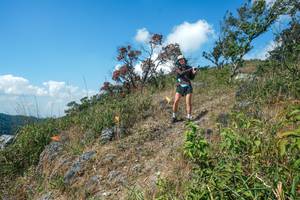 BIB: 
                            <button type="button" onclick="openModal(28096385)" class="btn btn-primary btn-sm float-right btn-popup" data-toggle="modal" data-target=".modal-high-quality">
                        <i class="fas fa-shopping-cart"></i> Add to Cart
                    </button>
                                            <button type="button" onclick="isThisMe(28096385, true)" class="btn btn-success btn-sm float-right btn-popup btn-isme hidden" data-toggle="tooltip" data-placement="bottom" title="นี่คือรูปของคุณใช่ไหม คลิกที่นี่เพื่อเอาเข้าอัลบั้ม">
                        <i class="fas fa-plus"></i> Add to album
                    </button>
                    <button type="button" onclick="isThisMe(28096385, false)" class="btn btn-warning btn-sm float-right btn-popup btn-isnotme hidden">
                        <i class="fas fa-ban"></i> Remove from album
                    </button>