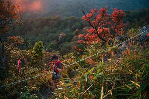 BIB: 
                            <button type="button" onclick="openModal(28099753)" class="btn btn-primary btn-sm float-right btn-popup" data-toggle="modal" data-target=".modal-high-quality">
                        <i class="fas fa-shopping-cart"></i> Add to Cart
                    </button>
                                            <button type="button" onclick="isThisMe(28099753, true)" class="btn btn-success btn-sm float-right btn-popup btn-isme hidden" data-toggle="tooltip" data-placement="bottom" title="นี่คือรูปของคุณใช่ไหม คลิกที่นี่เพื่อเอาเข้าอัลบั้ม">
                        <i class="fas fa-plus"></i> Add to album
                    </button>
                    <button type="button" onclick="isThisMe(28099753, false)" class="btn btn-warning btn-sm float-right btn-popup btn-isnotme hidden">
                        <i class="fas fa-ban"></i> Remove from album
                    </button>