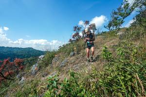 BIB: 
                            <button type="button" onclick="openModal(28096395)" class="btn btn-primary btn-sm float-right btn-popup" data-toggle="modal" data-target=".modal-high-quality">
                        <i class="fas fa-shopping-cart"></i> Add to Cart
                    </button>
                                            <button type="button" onclick="isThisMe(28096395, true)" class="btn btn-success btn-sm float-right btn-popup btn-isme hidden" data-toggle="tooltip" data-placement="bottom" title="นี่คือรูปของคุณใช่ไหม คลิกที่นี่เพื่อเอาเข้าอัลบั้ม">
                        <i class="fas fa-plus"></i> Add to album
                    </button>
                    <button type="button" onclick="isThisMe(28096395, false)" class="btn btn-warning btn-sm float-right btn-popup btn-isnotme hidden">
                        <i class="fas fa-ban"></i> Remove from album
                    </button>