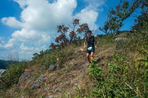 BIB: 
                            <button type="button" onclick="openModal(28096258)" class="btn btn-primary btn-sm float-right btn-popup" data-toggle="modal" data-target=".modal-high-quality">
                        <i class="fas fa-shopping-cart"></i> Add to Cart
                    </button>
                                            <button type="button" onclick="isThisMe(28096258, true)" class="btn btn-success btn-sm float-right btn-popup btn-isme hidden" data-toggle="tooltip" data-placement="bottom" title="นี่คือรูปของคุณใช่ไหม คลิกที่นี่เพื่อเอาเข้าอัลบั้ม">
                        <i class="fas fa-plus"></i> Add to album
                    </button>
                    <button type="button" onclick="isThisMe(28096258, false)" class="btn btn-warning btn-sm float-right btn-popup btn-isnotme hidden">
                        <i class="fas fa-ban"></i> Remove from album
                    </button>