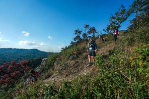 BIB: 
                            <button type="button" onclick="openModal(28098428)" class="btn btn-primary btn-sm float-right btn-popup" data-toggle="modal" data-target=".modal-high-quality">
                        <i class="fas fa-shopping-cart"></i> Add to Cart
                    </button>
                                            <button type="button" onclick="isThisMe(28098428, true)" class="btn btn-success btn-sm float-right btn-popup btn-isme hidden" data-toggle="tooltip" data-placement="bottom" title="นี่คือรูปของคุณใช่ไหม คลิกที่นี่เพื่อเอาเข้าอัลบั้ม">
                        <i class="fas fa-plus"></i> Add to album
                    </button>
                    <button type="button" onclick="isThisMe(28098428, false)" class="btn btn-warning btn-sm float-right btn-popup btn-isnotme hidden">
                        <i class="fas fa-ban"></i> Remove from album
                    </button>