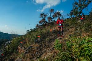 BIB: 
                            <button type="button" onclick="openModal(28099321)" class="btn btn-primary btn-sm float-right btn-popup" data-toggle="modal" data-target=".modal-high-quality">
                        <i class="fas fa-shopping-cart"></i> Add to Cart
                    </button>
                                            <button type="button" onclick="isThisMe(28099321, true)" class="btn btn-success btn-sm float-right btn-popup btn-isme hidden" data-toggle="tooltip" data-placement="bottom" title="นี่คือรูปของคุณใช่ไหม คลิกที่นี่เพื่อเอาเข้าอัลบั้ม">
                        <i class="fas fa-plus"></i> Add to album
                    </button>
                    <button type="button" onclick="isThisMe(28099321, false)" class="btn btn-warning btn-sm float-right btn-popup btn-isnotme hidden">
                        <i class="fas fa-ban"></i> Remove from album
                    </button>