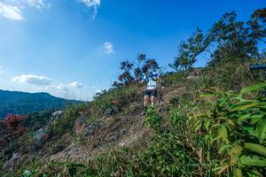 BIB: 
                            <button type="button" onclick="openModal(28098161)" class="btn btn-primary btn-sm float-right btn-popup" data-toggle="modal" data-target=".modal-high-quality">
                        <i class="fas fa-shopping-cart"></i> Add to Cart
                    </button>
                                            <button type="button" onclick="isThisMe(28098161, true)" class="btn btn-success btn-sm float-right btn-popup btn-isme hidden" data-toggle="tooltip" data-placement="bottom" title="นี่คือรูปของคุณใช่ไหม คลิกที่นี่เพื่อเอาเข้าอัลบั้ม">
                        <i class="fas fa-plus"></i> Add to album
                    </button>
                    <button type="button" onclick="isThisMe(28098161, false)" class="btn btn-warning btn-sm float-right btn-popup btn-isnotme hidden">
                        <i class="fas fa-ban"></i> Remove from album
                    </button>