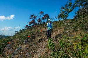 BIB: 
                            <button type="button" onclick="openModal(28097681)" class="btn btn-primary btn-sm float-right btn-popup" data-toggle="modal" data-target=".modal-high-quality">
                        <i class="fas fa-shopping-cart"></i> Add to Cart
                    </button>
                                            <button type="button" onclick="isThisMe(28097681, true)" class="btn btn-success btn-sm float-right btn-popup btn-isme hidden" data-toggle="tooltip" data-placement="bottom" title="นี่คือรูปของคุณใช่ไหม คลิกที่นี่เพื่อเอาเข้าอัลบั้ม">
                        <i class="fas fa-plus"></i> Add to album
                    </button>
                    <button type="button" onclick="isThisMe(28097681, false)" class="btn btn-warning btn-sm float-right btn-popup btn-isnotme hidden">
                        <i class="fas fa-ban"></i> Remove from album
                    </button>