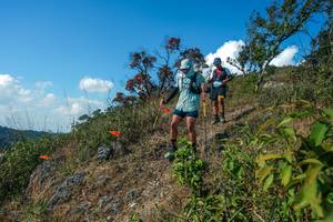 BIB: 
                            <button type="button" onclick="openModal(28097340)" class="btn btn-primary btn-sm float-right btn-popup" data-toggle="modal" data-target=".modal-high-quality">
                        <i class="fas fa-shopping-cart"></i> Add to Cart
                    </button>
                                            <button type="button" onclick="isThisMe(28097340, true)" class="btn btn-success btn-sm float-right btn-popup btn-isme hidden" data-toggle="tooltip" data-placement="bottom" title="นี่คือรูปของคุณใช่ไหม คลิกที่นี่เพื่อเอาเข้าอัลบั้ม">
                        <i class="fas fa-plus"></i> Add to album
                    </button>
                    <button type="button" onclick="isThisMe(28097340, false)" class="btn btn-warning btn-sm float-right btn-popup btn-isnotme hidden">
                        <i class="fas fa-ban"></i> Remove from album
                    </button>