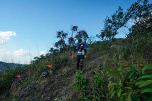 BIB: 
                            <button type="button" onclick="openModal(28097744)" class="btn btn-primary btn-sm float-right btn-popup" data-toggle="modal" data-target=".modal-high-quality">
                        <i class="fas fa-shopping-cart"></i> Add to Cart
                    </button>
                                            <button type="button" onclick="isThisMe(28097744, true)" class="btn btn-success btn-sm float-right btn-popup btn-isme hidden" data-toggle="tooltip" data-placement="bottom" title="นี่คือรูปของคุณใช่ไหม คลิกที่นี่เพื่อเอาเข้าอัลบั้ม">
                        <i class="fas fa-plus"></i> Add to album
                    </button>
                    <button type="button" onclick="isThisMe(28097744, false)" class="btn btn-warning btn-sm float-right btn-popup btn-isnotme hidden">
                        <i class="fas fa-ban"></i> Remove from album
                    </button>