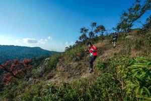 BIB: 
                            <button type="button" onclick="openModal(28098747)" class="btn btn-primary btn-sm float-right btn-popup" data-toggle="modal" data-target=".modal-high-quality">
                        <i class="fas fa-shopping-cart"></i> Add to Cart
                    </button>
                                            <button type="button" onclick="isThisMe(28098747, true)" class="btn btn-success btn-sm float-right btn-popup btn-isme hidden" data-toggle="tooltip" data-placement="bottom" title="นี่คือรูปของคุณใช่ไหม คลิกที่นี่เพื่อเอาเข้าอัลบั้ม">
                        <i class="fas fa-plus"></i> Add to album
                    </button>
                    <button type="button" onclick="isThisMe(28098747, false)" class="btn btn-warning btn-sm float-right btn-popup btn-isnotme hidden">
                        <i class="fas fa-ban"></i> Remove from album
                    </button>