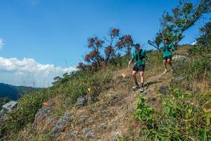 BIB: 
                            <button type="button" onclick="openModal(28096294)" class="btn btn-primary btn-sm float-right btn-popup" data-toggle="modal" data-target=".modal-high-quality">
                        <i class="fas fa-shopping-cart"></i> Add to Cart
                    </button>
                                            <button type="button" onclick="isThisMe(28096294, true)" class="btn btn-success btn-sm float-right btn-popup btn-isme hidden" data-toggle="tooltip" data-placement="bottom" title="นี่คือรูปของคุณใช่ไหม คลิกที่นี่เพื่อเอาเข้าอัลบั้ม">
                        <i class="fas fa-plus"></i> Add to album
                    </button>
                    <button type="button" onclick="isThisMe(28096294, false)" class="btn btn-warning btn-sm float-right btn-popup btn-isnotme hidden">
                        <i class="fas fa-ban"></i> Remove from album
                    </button>