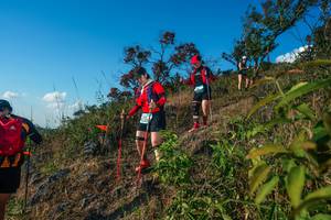 BIB: 
                            <button type="button" onclick="openModal(28099037)" class="btn btn-primary btn-sm float-right btn-popup" data-toggle="modal" data-target=".modal-high-quality">
                        <i class="fas fa-shopping-cart"></i> Add to Cart
                    </button>
                                            <button type="button" onclick="isThisMe(28099037, true)" class="btn btn-success btn-sm float-right btn-popup btn-isme hidden" data-toggle="tooltip" data-placement="bottom" title="นี่คือรูปของคุณใช่ไหม คลิกที่นี่เพื่อเอาเข้าอัลบั้ม">
                        <i class="fas fa-plus"></i> Add to album
                    </button>
                    <button type="button" onclick="isThisMe(28099037, false)" class="btn btn-warning btn-sm float-right btn-popup btn-isnotme hidden">
                        <i class="fas fa-ban"></i> Remove from album
                    </button>