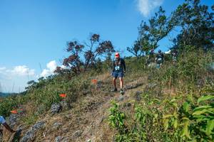 BIB: 
                            <button type="button" onclick="openModal(28096818)" class="btn btn-primary btn-sm float-right btn-popup" data-toggle="modal" data-target=".modal-high-quality">
                        <i class="fas fa-shopping-cart"></i> Add to Cart
                    </button>
                                            <button type="button" onclick="isThisMe(28096818, true)" class="btn btn-success btn-sm float-right btn-popup btn-isme hidden" data-toggle="tooltip" data-placement="bottom" title="นี่คือรูปของคุณใช่ไหม คลิกที่นี่เพื่อเอาเข้าอัลบั้ม">
                        <i class="fas fa-plus"></i> Add to album
                    </button>
                    <button type="button" onclick="isThisMe(28096818, false)" class="btn btn-warning btn-sm float-right btn-popup btn-isnotme hidden">
                        <i class="fas fa-ban"></i> Remove from album
                    </button>