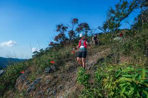 BIB: 
                            <button type="button" onclick="openModal(28098243)" class="btn btn-primary btn-sm float-right btn-popup" data-toggle="modal" data-target=".modal-high-quality">
                        <i class="fas fa-shopping-cart"></i> Add to Cart
                    </button>
                                            <button type="button" onclick="isThisMe(28098243, true)" class="btn btn-success btn-sm float-right btn-popup btn-isme hidden" data-toggle="tooltip" data-placement="bottom" title="นี่คือรูปของคุณใช่ไหม คลิกที่นี่เพื่อเอาเข้าอัลบั้ม">
                        <i class="fas fa-plus"></i> Add to album
                    </button>
                    <button type="button" onclick="isThisMe(28098243, false)" class="btn btn-warning btn-sm float-right btn-popup btn-isnotme hidden">
                        <i class="fas fa-ban"></i> Remove from album
                    </button>