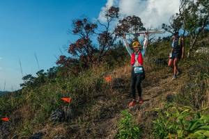 BIB: 
                            <button type="button" onclick="openModal(28099193)" class="btn btn-primary btn-sm float-right btn-popup" data-toggle="modal" data-target=".modal-high-quality">
                        <i class="fas fa-shopping-cart"></i> Add to Cart
                    </button>
                                            <button type="button" onclick="isThisMe(28099193, true)" class="btn btn-success btn-sm float-right btn-popup btn-isme hidden" data-toggle="tooltip" data-placement="bottom" title="นี่คือรูปของคุณใช่ไหม คลิกที่นี่เพื่อเอาเข้าอัลบั้ม">
                        <i class="fas fa-plus"></i> Add to album
                    </button>
                    <button type="button" onclick="isThisMe(28099193, false)" class="btn btn-warning btn-sm float-right btn-popup btn-isnotme hidden">
                        <i class="fas fa-ban"></i> Remove from album
                    </button>