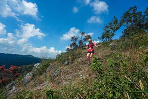 BIB: 
                            <button type="button" onclick="openModal(28096099)" class="btn btn-primary btn-sm float-right btn-popup" data-toggle="modal" data-target=".modal-high-quality">
                        <i class="fas fa-shopping-cart"></i> Add to Cart
                    </button>
                                            <button type="button" onclick="isThisMe(28096099, true)" class="btn btn-success btn-sm float-right btn-popup btn-isme hidden" data-toggle="tooltip" data-placement="bottom" title="นี่คือรูปของคุณใช่ไหม คลิกที่นี่เพื่อเอาเข้าอัลบั้ม">
                        <i class="fas fa-plus"></i> Add to album
                    </button>
                    <button type="button" onclick="isThisMe(28096099, false)" class="btn btn-warning btn-sm float-right btn-popup btn-isnotme hidden">
                        <i class="fas fa-ban"></i> Remove from album
                    </button>