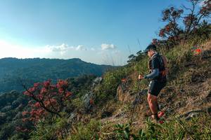 BIB: 
                            <button type="button" onclick="openModal(28099161)" class="btn btn-primary btn-sm float-right btn-popup" data-toggle="modal" data-target=".modal-high-quality">
                        <i class="fas fa-shopping-cart"></i> Add to Cart
                    </button>
                                            <button type="button" onclick="isThisMe(28099161, true)" class="btn btn-success btn-sm float-right btn-popup btn-isme hidden" data-toggle="tooltip" data-placement="bottom" title="นี่คือรูปของคุณใช่ไหม คลิกที่นี่เพื่อเอาเข้าอัลบั้ม">
                        <i class="fas fa-plus"></i> Add to album
                    </button>
                    <button type="button" onclick="isThisMe(28099161, false)" class="btn btn-warning btn-sm float-right btn-popup btn-isnotme hidden">
                        <i class="fas fa-ban"></i> Remove from album
                    </button>