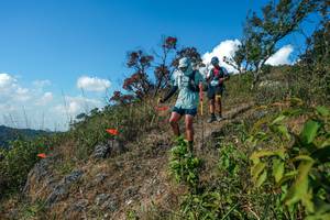 BIB: 
                            <button type="button" onclick="openModal(28097336)" class="btn btn-primary btn-sm float-right btn-popup" data-toggle="modal" data-target=".modal-high-quality">
                        <i class="fas fa-shopping-cart"></i> Add to Cart
                    </button>
                                            <button type="button" onclick="isThisMe(28097336, true)" class="btn btn-success btn-sm float-right btn-popup btn-isme hidden" data-toggle="tooltip" data-placement="bottom" title="นี่คือรูปของคุณใช่ไหม คลิกที่นี่เพื่อเอาเข้าอัลบั้ม">
                        <i class="fas fa-plus"></i> Add to album
                    </button>
                    <button type="button" onclick="isThisMe(28097336, false)" class="btn btn-warning btn-sm float-right btn-popup btn-isnotme hidden">
                        <i class="fas fa-ban"></i> Remove from album
                    </button>