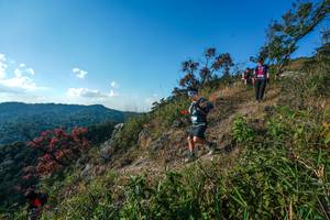 BIB: 
                            <button type="button" onclick="openModal(28098446)" class="btn btn-primary btn-sm float-right btn-popup" data-toggle="modal" data-target=".modal-high-quality">
                        <i class="fas fa-shopping-cart"></i> Add to Cart
                    </button>
                                            <button type="button" onclick="isThisMe(28098446, true)" class="btn btn-success btn-sm float-right btn-popup btn-isme hidden" data-toggle="tooltip" data-placement="bottom" title="นี่คือรูปของคุณใช่ไหม คลิกที่นี่เพื่อเอาเข้าอัลบั้ม">
                        <i class="fas fa-plus"></i> Add to album
                    </button>
                    <button type="button" onclick="isThisMe(28098446, false)" class="btn btn-warning btn-sm float-right btn-popup btn-isnotme hidden">
                        <i class="fas fa-ban"></i> Remove from album
                    </button>