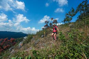 BIB: 
                            <button type="button" onclick="openModal(28096097)" class="btn btn-primary btn-sm float-right btn-popup" data-toggle="modal" data-target=".modal-high-quality">
                        <i class="fas fa-shopping-cart"></i> Add to Cart
                    </button>
                                            <button type="button" onclick="isThisMe(28096097, true)" class="btn btn-success btn-sm float-right btn-popup btn-isme hidden" data-toggle="tooltip" data-placement="bottom" title="นี่คือรูปของคุณใช่ไหม คลิกที่นี่เพื่อเอาเข้าอัลบั้ม">
                        <i class="fas fa-plus"></i> Add to album
                    </button>
                    <button type="button" onclick="isThisMe(28096097, false)" class="btn btn-warning btn-sm float-right btn-popup btn-isnotme hidden">
                        <i class="fas fa-ban"></i> Remove from album
                    </button>