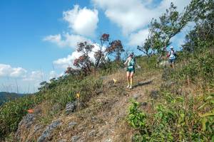 BIB: 
                            <button type="button" onclick="openModal(28096433)" class="btn btn-primary btn-sm float-right btn-popup" data-toggle="modal" data-target=".modal-high-quality">
                        <i class="fas fa-shopping-cart"></i> Add to Cart
                    </button>
                                            <button type="button" onclick="isThisMe(28096433, true)" class="btn btn-success btn-sm float-right btn-popup btn-isme hidden" data-toggle="tooltip" data-placement="bottom" title="นี่คือรูปของคุณใช่ไหม คลิกที่นี่เพื่อเอาเข้าอัลบั้ม">
                        <i class="fas fa-plus"></i> Add to album
                    </button>
                    <button type="button" onclick="isThisMe(28096433, false)" class="btn btn-warning btn-sm float-right btn-popup btn-isnotme hidden">
                        <i class="fas fa-ban"></i> Remove from album
                    </button>