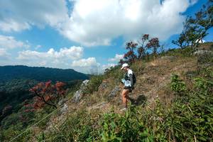 BIB: 
                            <button type="button" onclick="openModal(28096052)" class="btn btn-primary btn-sm float-right btn-popup" data-toggle="modal" data-target=".modal-high-quality">
                        <i class="fas fa-shopping-cart"></i> Add to Cart
                    </button>
                                            <button type="button" onclick="isThisMe(28096052, true)" class="btn btn-success btn-sm float-right btn-popup btn-isme hidden" data-toggle="tooltip" data-placement="bottom" title="นี่คือรูปของคุณใช่ไหม คลิกที่นี่เพื่อเอาเข้าอัลบั้ม">
                        <i class="fas fa-plus"></i> Add to album
                    </button>
                    <button type="button" onclick="isThisMe(28096052, false)" class="btn btn-warning btn-sm float-right btn-popup btn-isnotme hidden">
                        <i class="fas fa-ban"></i> Remove from album
                    </button>