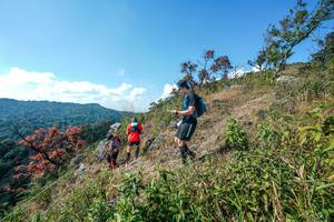 BIB: 
                            <button type="button" onclick="openModal(28097044)" class="btn btn-primary btn-sm float-right btn-popup" data-toggle="modal" data-target=".modal-high-quality">
                        <i class="fas fa-shopping-cart"></i> Add to Cart
                    </button>
                                            <button type="button" onclick="isThisMe(28097044, true)" class="btn btn-success btn-sm float-right btn-popup btn-isme hidden" data-toggle="tooltip" data-placement="bottom" title="นี่คือรูปของคุณใช่ไหม คลิกที่นี่เพื่อเอาเข้าอัลบั้ม">
                        <i class="fas fa-plus"></i> Add to album
                    </button>
                    <button type="button" onclick="isThisMe(28097044, false)" class="btn btn-warning btn-sm float-right btn-popup btn-isnotme hidden">
                        <i class="fas fa-ban"></i> Remove from album
                    </button>