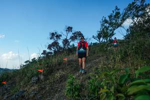 BIB: 
                            <button type="button" onclick="openModal(28097760)" class="btn btn-primary btn-sm float-right btn-popup" data-toggle="modal" data-target=".modal-high-quality">
                        <i class="fas fa-shopping-cart"></i> Add to Cart
                    </button>
                                            <button type="button" onclick="isThisMe(28097760, true)" class="btn btn-success btn-sm float-right btn-popup btn-isme hidden" data-toggle="tooltip" data-placement="bottom" title="นี่คือรูปของคุณใช่ไหม คลิกที่นี่เพื่อเอาเข้าอัลบั้ม">
                        <i class="fas fa-plus"></i> Add to album
                    </button>
                    <button type="button" onclick="isThisMe(28097760, false)" class="btn btn-warning btn-sm float-right btn-popup btn-isnotme hidden">
                        <i class="fas fa-ban"></i> Remove from album
                    </button>