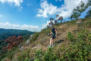 BIB: 
                            <button type="button" onclick="openModal(28096471)" class="btn btn-primary btn-sm float-right btn-popup" data-toggle="modal" data-target=".modal-high-quality">
                        <i class="fas fa-shopping-cart"></i> Add to Cart
                    </button>
                                            <button type="button" onclick="isThisMe(28096471, true)" class="btn btn-success btn-sm float-right btn-popup btn-isme hidden" data-toggle="tooltip" data-placement="bottom" title="นี่คือรูปของคุณใช่ไหม คลิกที่นี่เพื่อเอาเข้าอัลบั้ม">
                        <i class="fas fa-plus"></i> Add to album
                    </button>
                    <button type="button" onclick="isThisMe(28096471, false)" class="btn btn-warning btn-sm float-right btn-popup btn-isnotme hidden">
                        <i class="fas fa-ban"></i> Remove from album
                    </button>