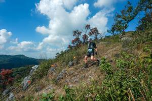 BIB: 
                            <button type="button" onclick="openModal(28096237)" class="btn btn-primary btn-sm float-right btn-popup" data-toggle="modal" data-target=".modal-high-quality">
                        <i class="fas fa-shopping-cart"></i> Add to Cart
                    </button>
                                            <button type="button" onclick="isThisMe(28096237, true)" class="btn btn-success btn-sm float-right btn-popup btn-isme hidden" data-toggle="tooltip" data-placement="bottom" title="นี่คือรูปของคุณใช่ไหม คลิกที่นี่เพื่อเอาเข้าอัลบั้ม">
                        <i class="fas fa-plus"></i> Add to album
                    </button>
                    <button type="button" onclick="isThisMe(28096237, false)" class="btn btn-warning btn-sm float-right btn-popup btn-isnotme hidden">
                        <i class="fas fa-ban"></i> Remove from album
                    </button>