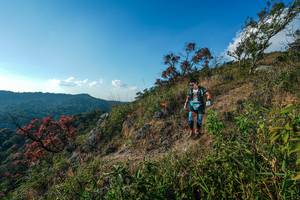 BIB: 
                            <button type="button" onclick="openModal(28099100)" class="btn btn-primary btn-sm float-right btn-popup" data-toggle="modal" data-target=".modal-high-quality">
                        <i class="fas fa-shopping-cart"></i> Add to Cart
                    </button>
                                            <button type="button" onclick="isThisMe(28099100, true)" class="btn btn-success btn-sm float-right btn-popup btn-isme hidden" data-toggle="tooltip" data-placement="bottom" title="นี่คือรูปของคุณใช่ไหม คลิกที่นี่เพื่อเอาเข้าอัลบั้ม">
                        <i class="fas fa-plus"></i> Add to album
                    </button>
                    <button type="button" onclick="isThisMe(28099100, false)" class="btn btn-warning btn-sm float-right btn-popup btn-isnotme hidden">
                        <i class="fas fa-ban"></i> Remove from album
                    </button>