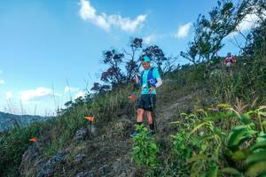 BIB: 
                            <button type="button" onclick="openModal(28097819)" class="btn btn-primary btn-sm float-right btn-popup" data-toggle="modal" data-target=".modal-high-quality">
                        <i class="fas fa-shopping-cart"></i> Add to Cart
                    </button>
                                            <button type="button" onclick="isThisMe(28097819, true)" class="btn btn-success btn-sm float-right btn-popup btn-isme hidden" data-toggle="tooltip" data-placement="bottom" title="นี่คือรูปของคุณใช่ไหม คลิกที่นี่เพื่อเอาเข้าอัลบั้ม">
                        <i class="fas fa-plus"></i> Add to album
                    </button>
                    <button type="button" onclick="isThisMe(28097819, false)" class="btn btn-warning btn-sm float-right btn-popup btn-isnotme hidden">
                        <i class="fas fa-ban"></i> Remove from album
                    </button>