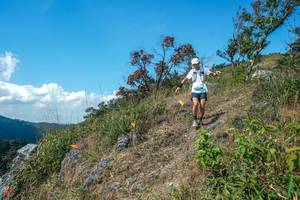 BIB: 
                            <button type="button" onclick="openModal(28096290)" class="btn btn-primary btn-sm float-right btn-popup" data-toggle="modal" data-target=".modal-high-quality">
                        <i class="fas fa-shopping-cart"></i> Add to Cart
                    </button>
                                            <button type="button" onclick="isThisMe(28096290, true)" class="btn btn-success btn-sm float-right btn-popup btn-isme hidden" data-toggle="tooltip" data-placement="bottom" title="นี่คือรูปของคุณใช่ไหม คลิกที่นี่เพื่อเอาเข้าอัลบั้ม">
                        <i class="fas fa-plus"></i> Add to album
                    </button>
                    <button type="button" onclick="isThisMe(28096290, false)" class="btn btn-warning btn-sm float-right btn-popup btn-isnotme hidden">
                        <i class="fas fa-ban"></i> Remove from album
                    </button>