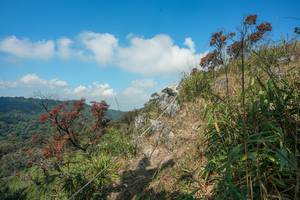 BIB: 
                            <button type="button" onclick="openModal(28095769)" class="btn btn-primary btn-sm float-right btn-popup" data-toggle="modal" data-target=".modal-high-quality">
                        <i class="fas fa-shopping-cart"></i> Add to Cart
                    </button>
                                            <button type="button" onclick="isThisMe(28095769, true)" class="btn btn-success btn-sm float-right btn-popup btn-isme hidden" data-toggle="tooltip" data-placement="bottom" title="นี่คือรูปของคุณใช่ไหม คลิกที่นี่เพื่อเอาเข้าอัลบั้ม">
                        <i class="fas fa-plus"></i> Add to album
                    </button>
                    <button type="button" onclick="isThisMe(28095769, false)" class="btn btn-warning btn-sm float-right btn-popup btn-isnotme hidden">
                        <i class="fas fa-ban"></i> Remove from album
                    </button>