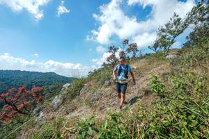 BIB: 
                            <button type="button" onclick="openModal(28096461)" class="btn btn-primary btn-sm float-right btn-popup" data-toggle="modal" data-target=".modal-high-quality">
                        <i class="fas fa-shopping-cart"></i> Add to Cart
                    </button>
                                            <button type="button" onclick="isThisMe(28096461, true)" class="btn btn-success btn-sm float-right btn-popup btn-isme hidden" data-toggle="tooltip" data-placement="bottom" title="นี่คือรูปของคุณใช่ไหม คลิกที่นี่เพื่อเอาเข้าอัลบั้ม">
                        <i class="fas fa-plus"></i> Add to album
                    </button>
                    <button type="button" onclick="isThisMe(28096461, false)" class="btn btn-warning btn-sm float-right btn-popup btn-isnotme hidden">
                        <i class="fas fa-ban"></i> Remove from album
                    </button>